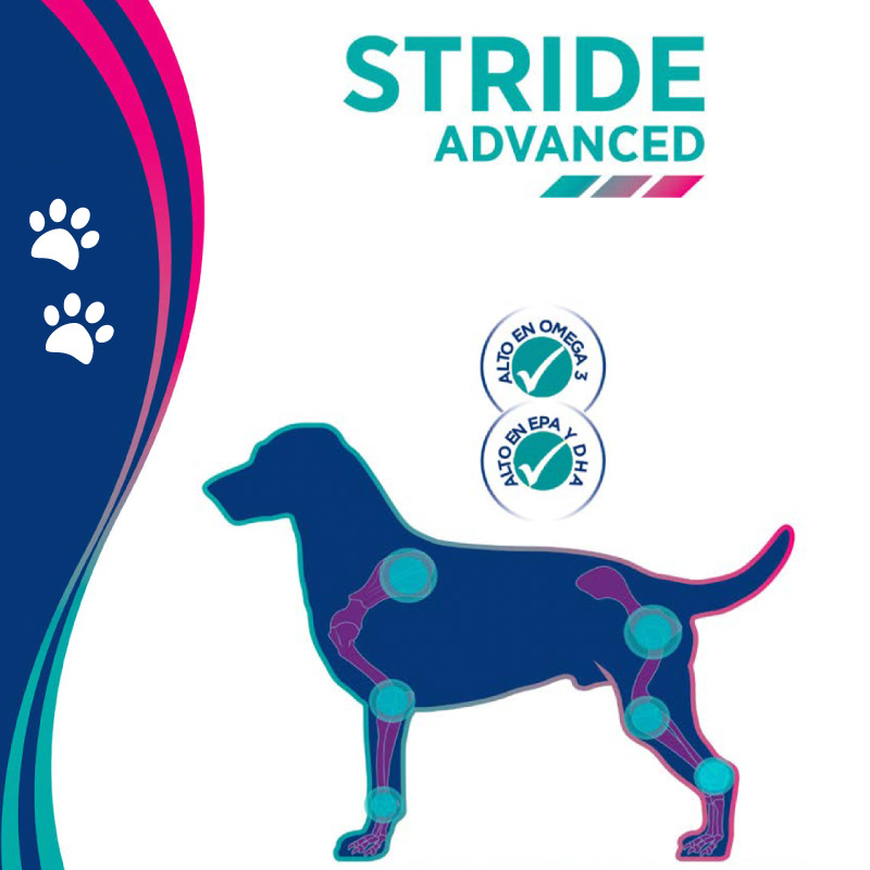 Stride Advance